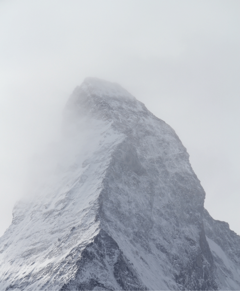 e reputation suisse